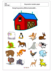 Hayvanlar Çalışma Sayfaları